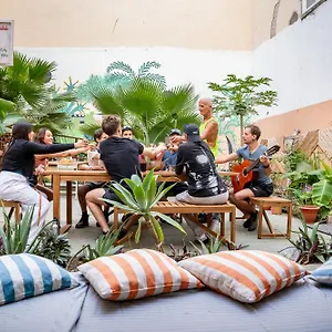 Jungle House Hostel